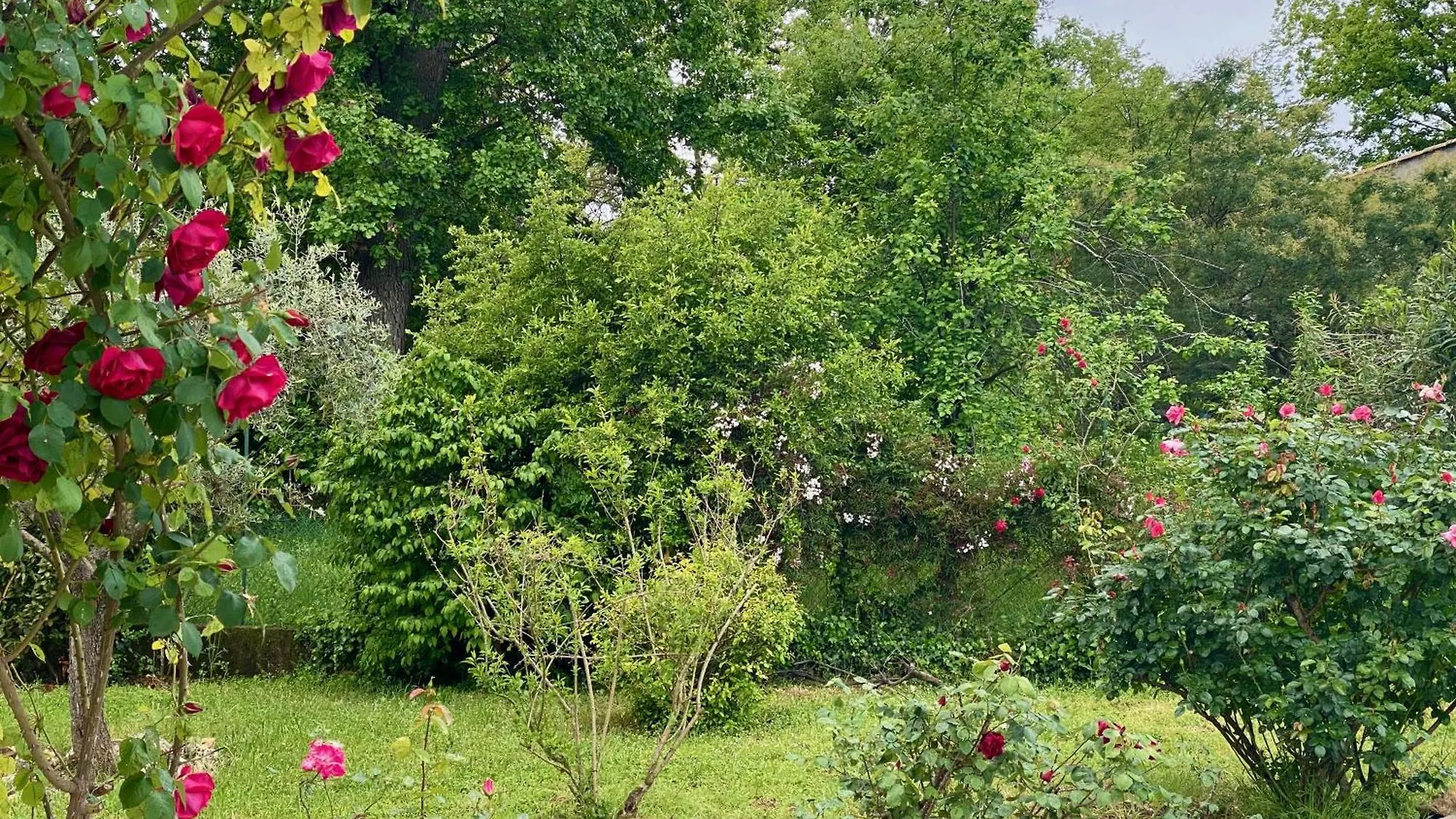 Air-Conditioned Villa With Fresh Eggs & Vegetables Roquefort Les Pins