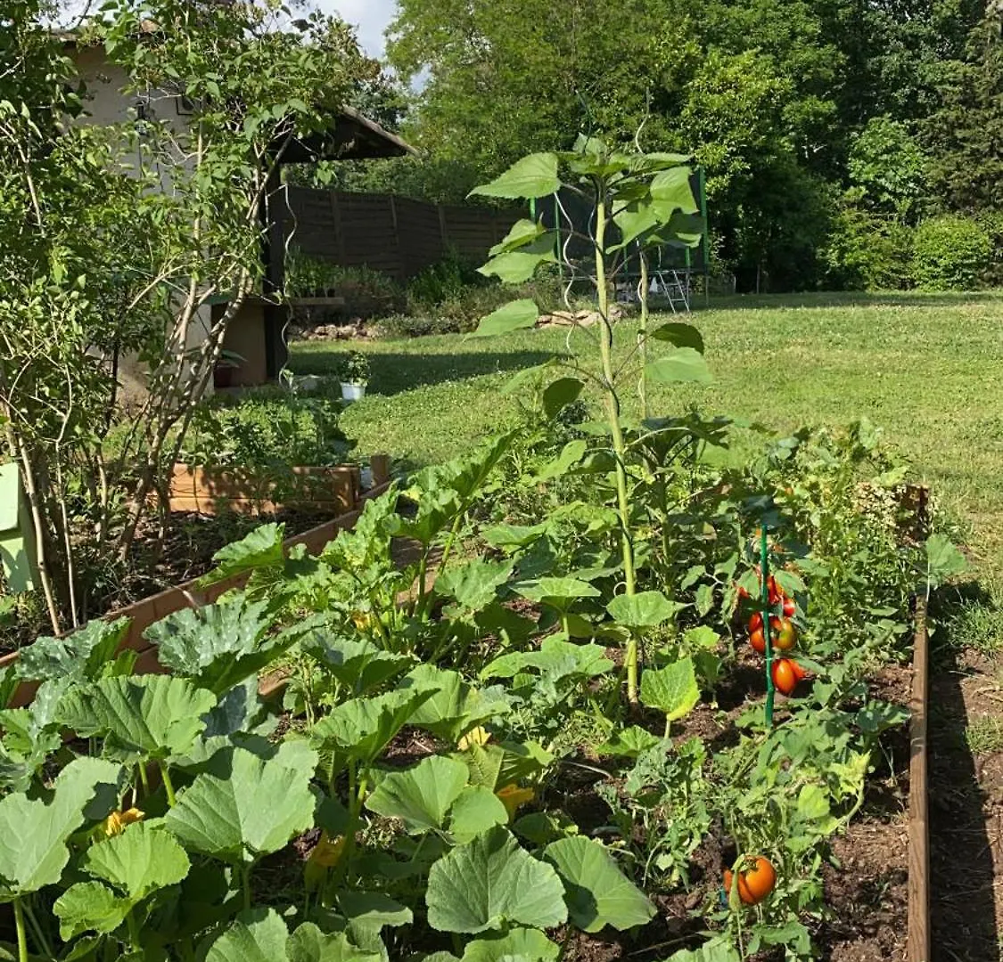 Air-Conditioned Villa With Fresh Eggs & Vegetables Roquefort Les Pins